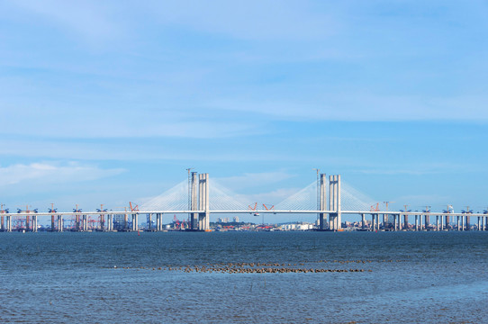 泉州湾跨海大桥主桥