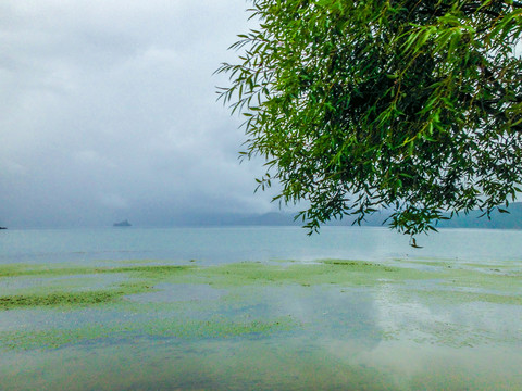 泸沽湖