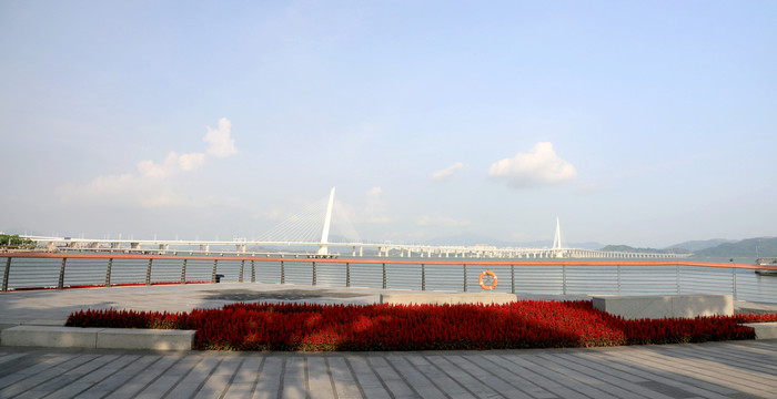 深圳湾公园海边风光