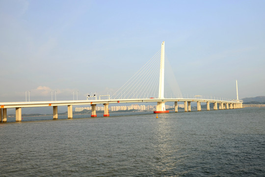 深圳湾深港公路大桥