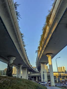苏坡立交桥