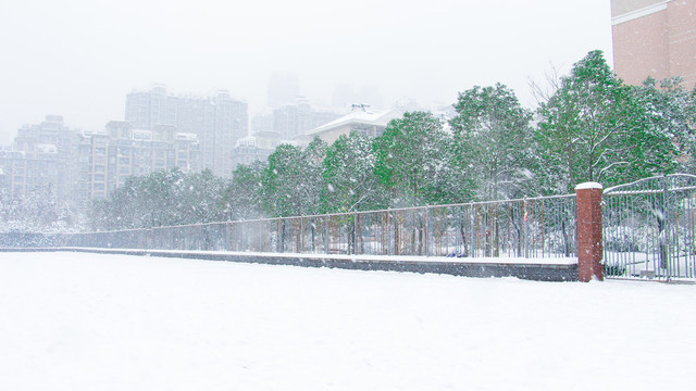 雪景