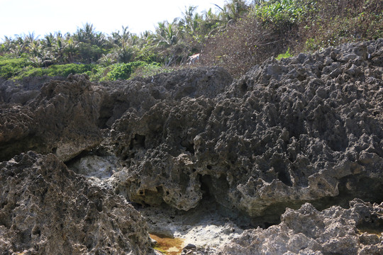 白沙湾