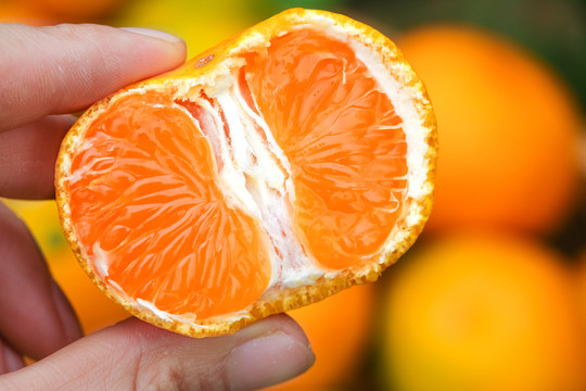 手里拿着新鲜橘子