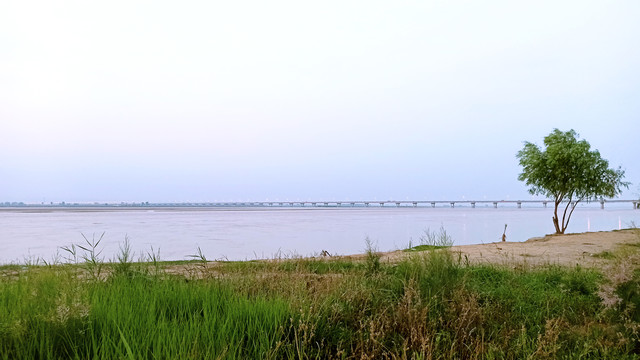 长江水河岸