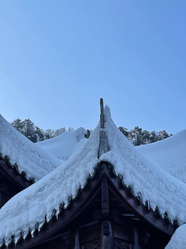 雪景