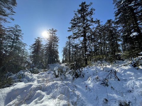 雪景