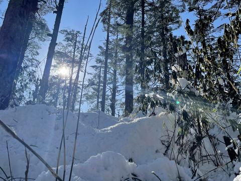 雪景