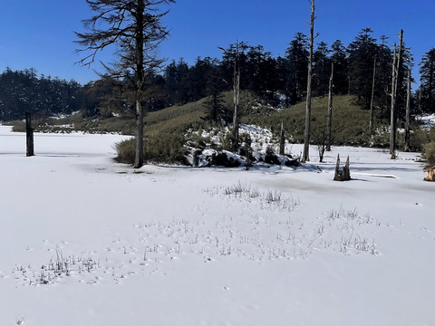 雪景