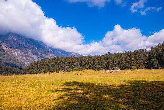 高山牧场