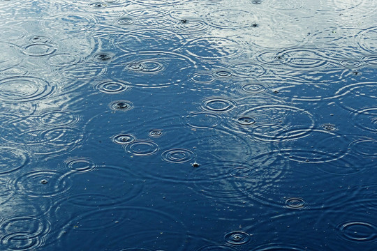 湖面雨滴