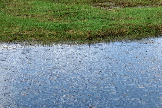 湖面雨滴