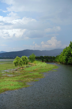 湿地风光