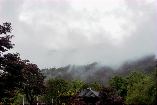 雨雾山