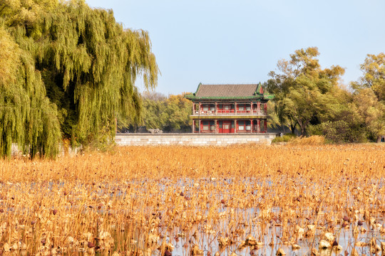 秋天的北京颐和园