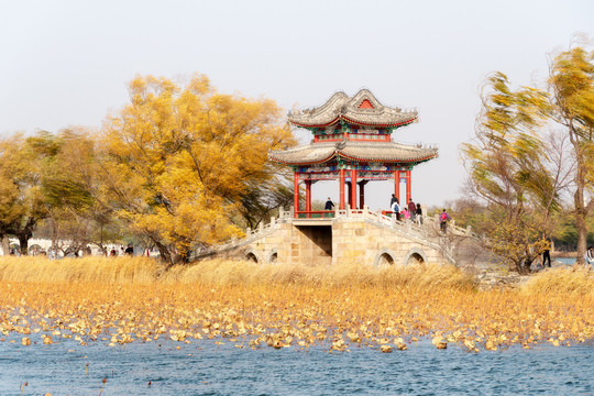 秋天的北京颐和园