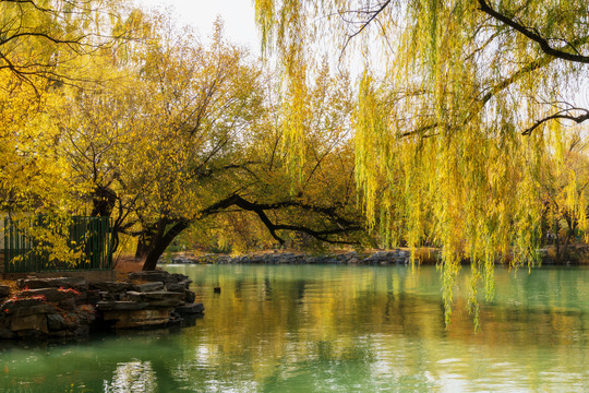 北京颐和园秋天风景
