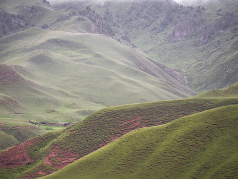 痳拉河村的风景