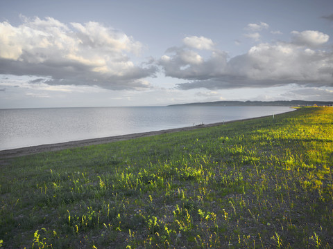 青海湖