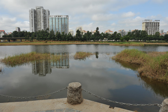 秋天的深圳洪湖公园