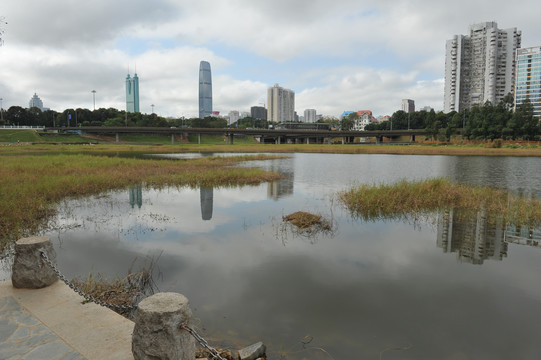 秋天的深圳洪湖公园