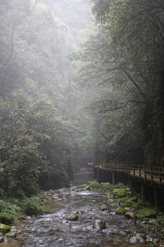 张家界大峡谷