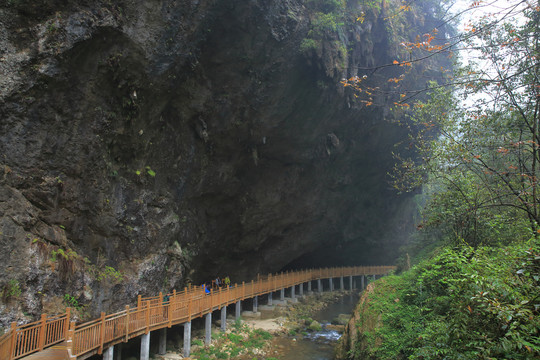 张家界大峡谷