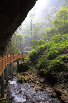 张家界大峡谷