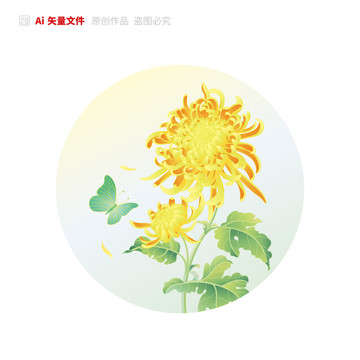 菊花插画