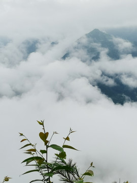 云海云雾缭绕山中云雾