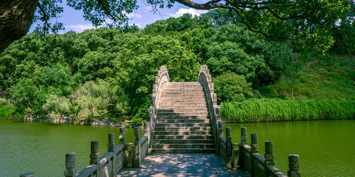 岳阳君山岛自然风光