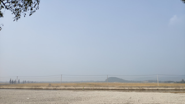 田野