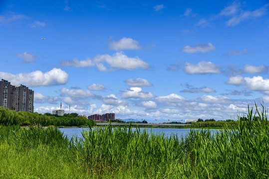 优美的风景