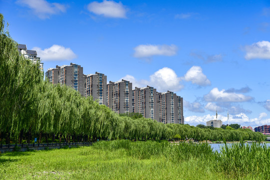 优美的城市风景