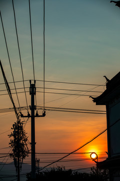 日出