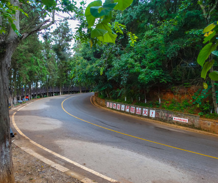 森林道路