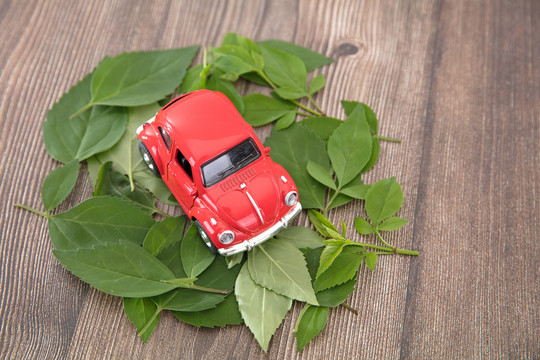 树叶上的小汽车模型