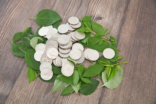 一堆绿色树叶上一堆美元硬币