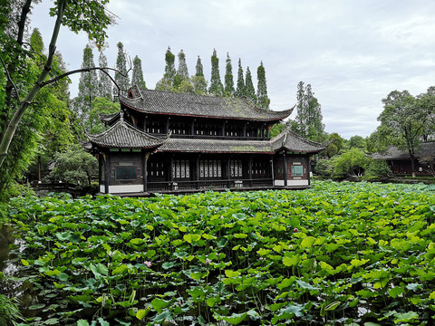 荷花池