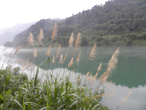 雾漫小东江