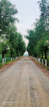 乡村道路