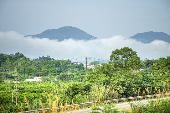 晨雾大山风景