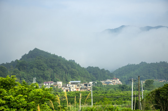 晨雾