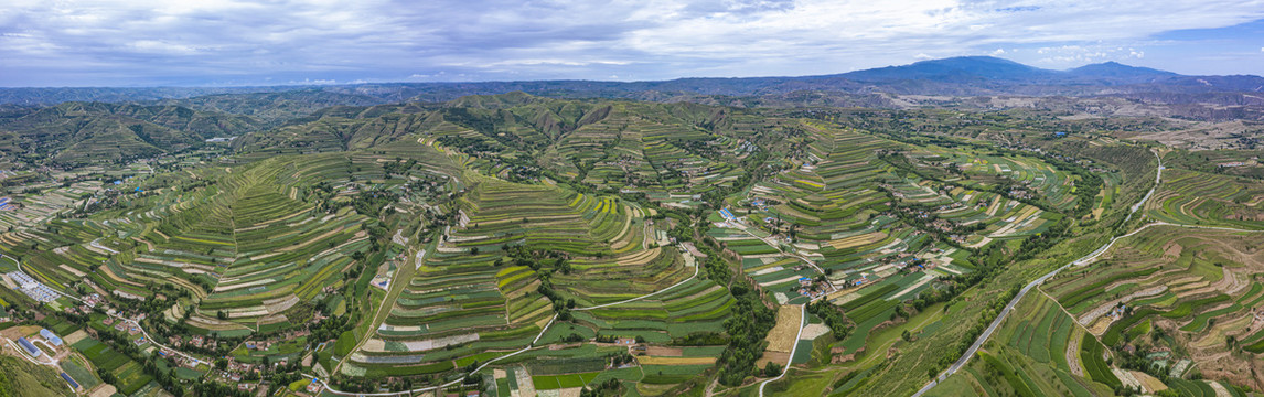 山坡农田