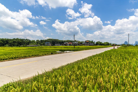 乡村公路