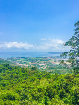 亚龙湾热带天堂森林公园