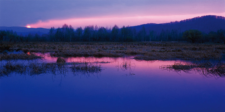 北方湿地