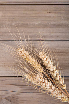 木质背景上几个成熟了的小麦麦穗