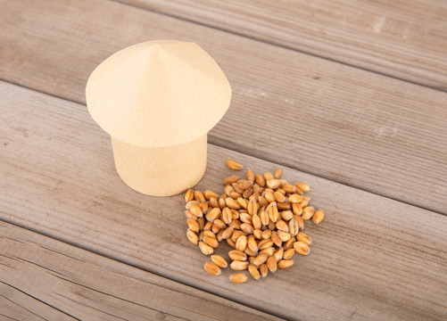 小麦麦粒和一个纸糊的粮仓模型