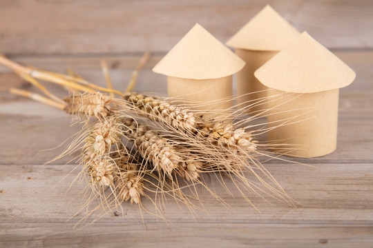 纸糊的粮仓模型和一把成熟的小麦